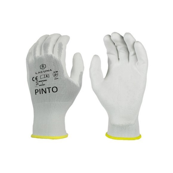 6PINTOWH
